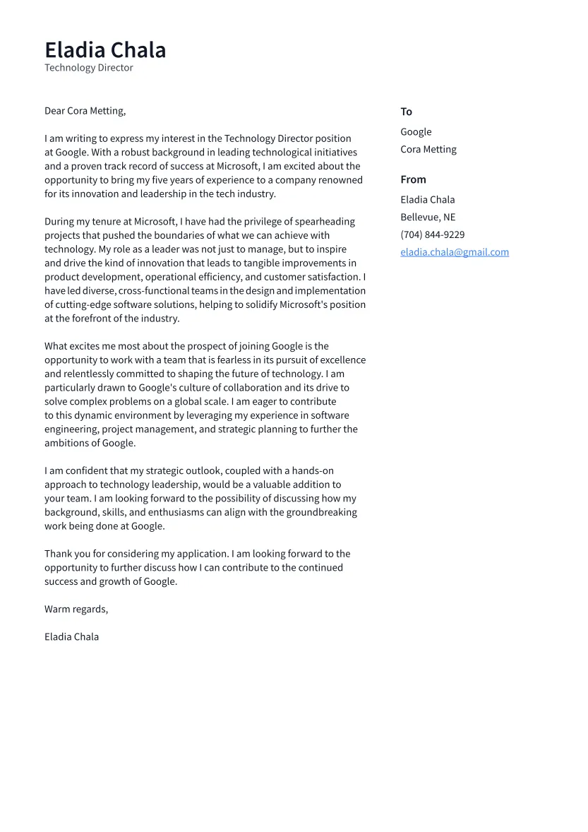 38255 it director resume