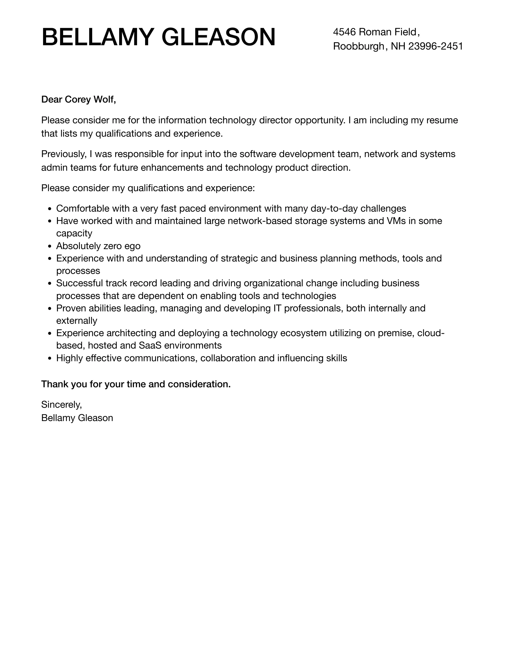 38255 it director technical expertise